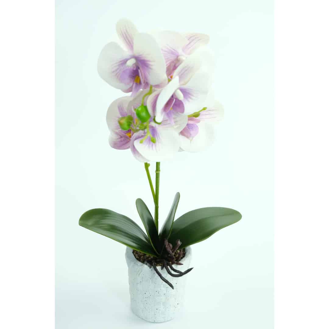 Orhidee Artificiale În Ghiveci – A80642 (4) Orhidee Artificiale În Ghiveci – A80642 (4)