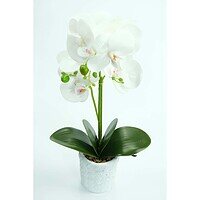 Orhidee Artificiale În Ghiveci – A80642 (6) Orhidee Artificiale În Ghiveci – A80642 (6)