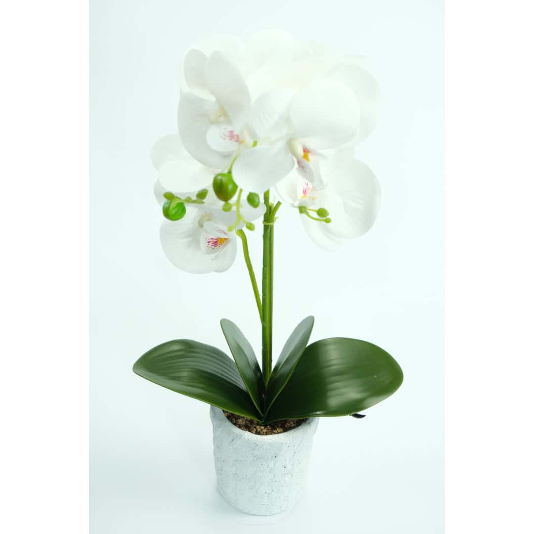 Orhidee Artificiale În Ghiveci – A80642 (6) Orhidee Artificiale În Ghiveci – A80642 (6)