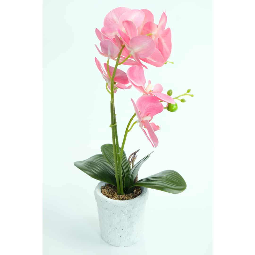 Orhidee Artificiale În Ghiveci – A80642 (9) Orhidee Artificiale În Ghiveci – A80642 (9)