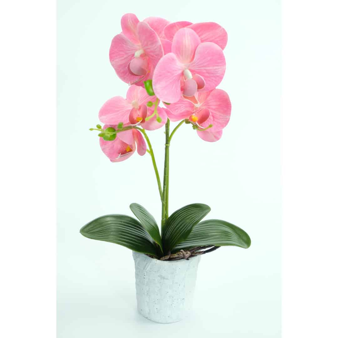 Orhidee Artificiale În Ghiveci – A80642 Orhidee Artificiale În Ghiveci – A80642