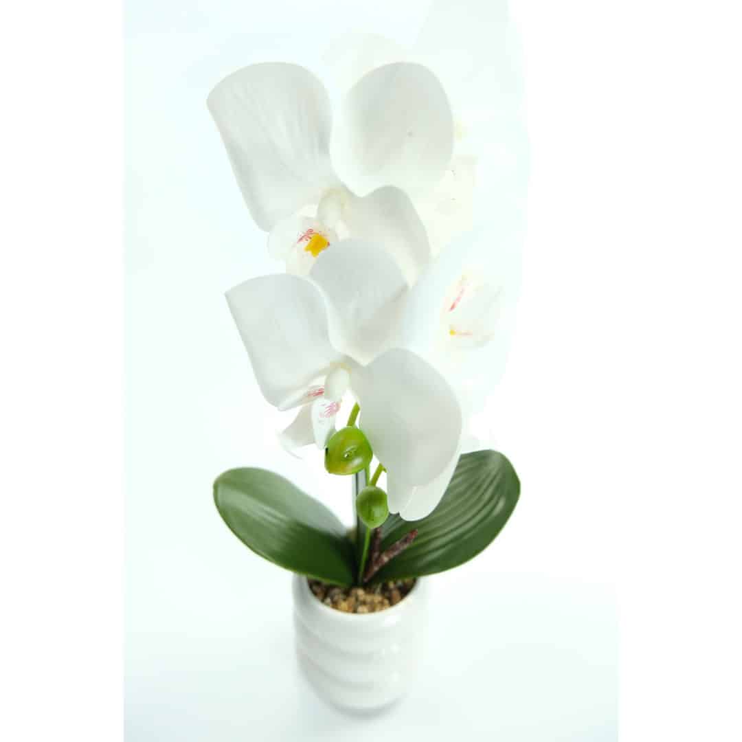 Orhidee Artificiale În Ghiveci – A80643 Orhidee Artificiale În Ghiveci – A80643