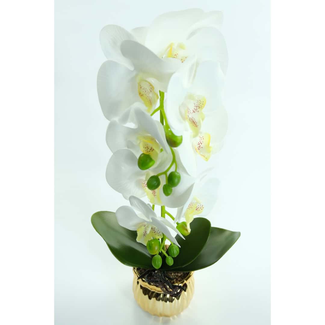 Orhidee Artificiale În Ghiveci – A80649 (1) Orhidee Artificiale În Ghiveci – A80649 (1)