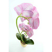 Orhidee Artificiale În Ghiveci – A80649 (10) Orhidee Artificiale În Ghiveci – A80649 (10)