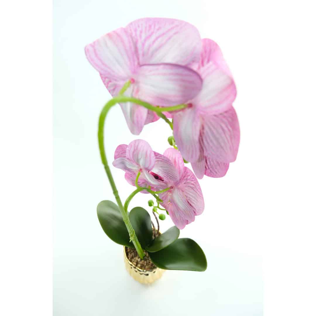 Orhidee Artificiale În Ghiveci – A80649 (10) Orhidee Artificiale În Ghiveci – A80649 (10)