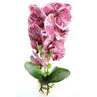 Orhidee Artificiale În Ghiveci – A80649 Orhidee Artificiale În Ghiveci – A80649