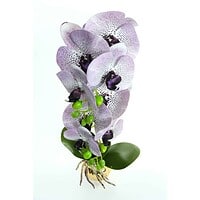 Orhidee Artificiale În Ghiveci – A80649 (5) Orhidee Artificiale În Ghiveci – A80649 (5)