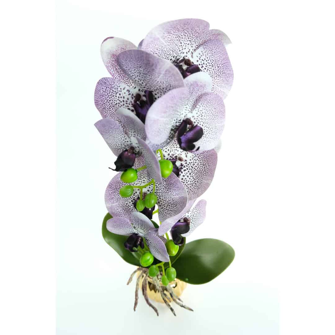 Orhidee Artificiale În Ghiveci – A80649 (5) Orhidee Artificiale În Ghiveci – A80649 (5)