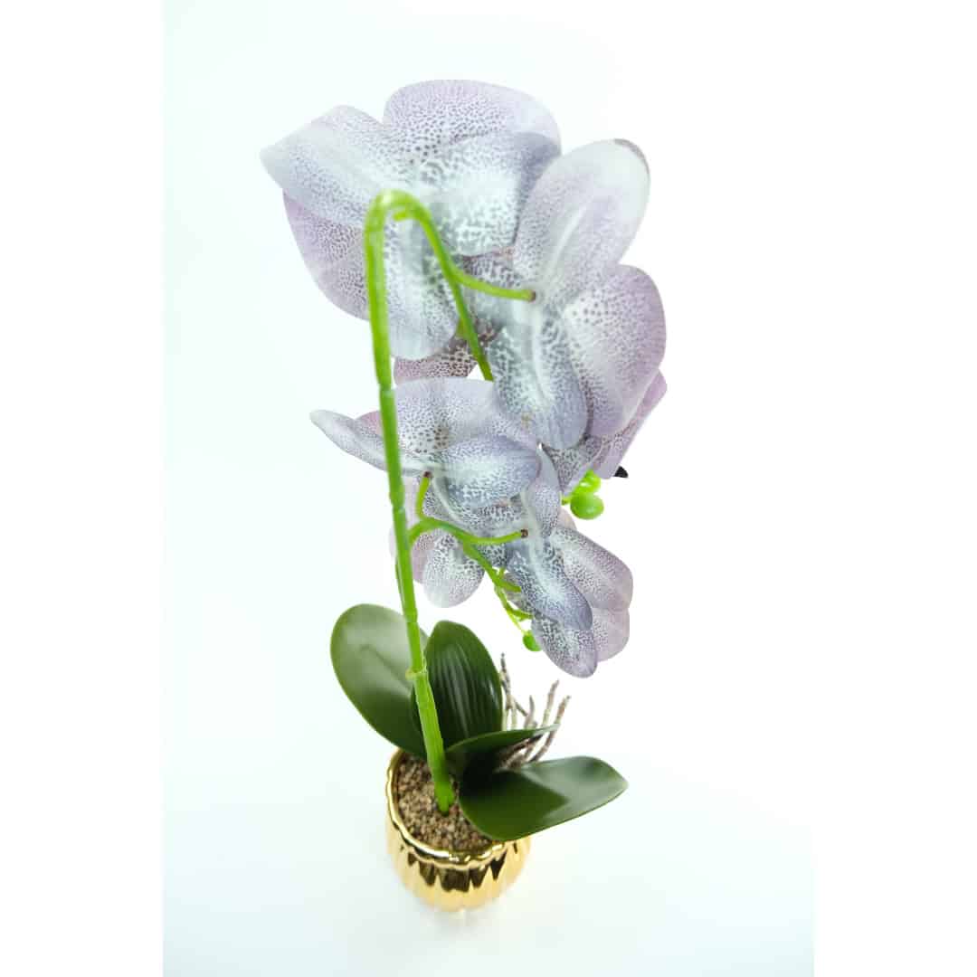 Orhidee Artificiale În Ghiveci – A80649 (6) Orhidee Artificiale În Ghiveci – A80649 (6)