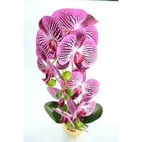 Orhidee Artificiale În Ghiveci – A80649 (9) Orhidee Artificiale În Ghiveci – A80649 (9)