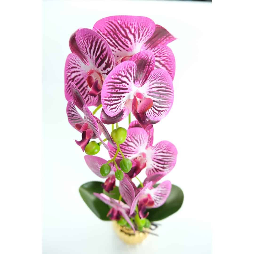 Orhidee Artificiale În Ghiveci – A80649 (9) Orhidee Artificiale În Ghiveci – A80649 (9)