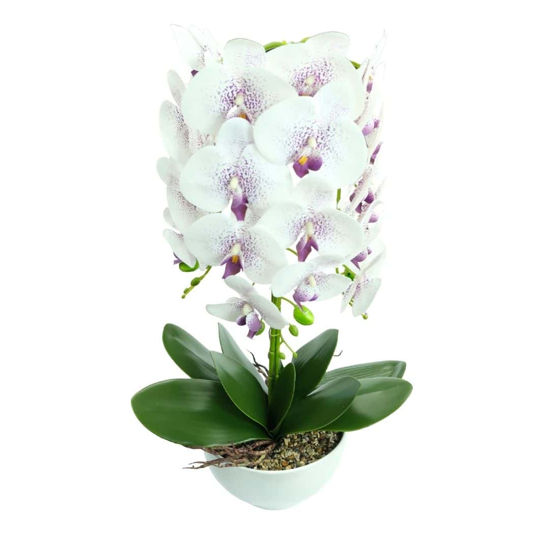 Orhidee Artificiale În Ghiveci – A80803 (6) Orhidee Artificiale În Ghiveci – A80803 (6)