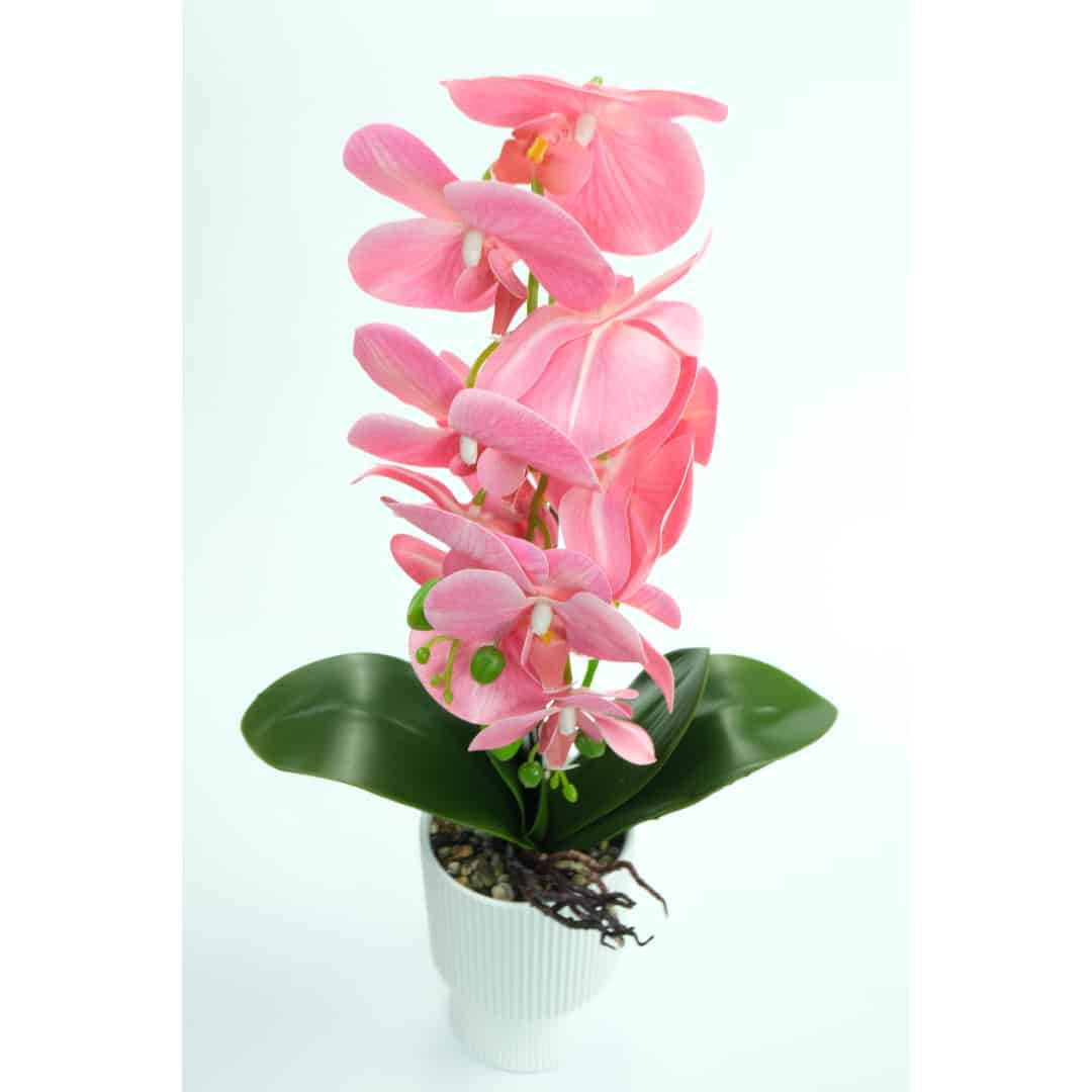 Orhidee Artificiale În Ghiveci – A80807 (3) Orhidee Artificiale În Ghiveci – A80807 (3)