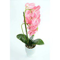 Orhidee Artificiale În Ghiveci – A80807 (4) Orhidee Artificiale În Ghiveci – A80807 (4)