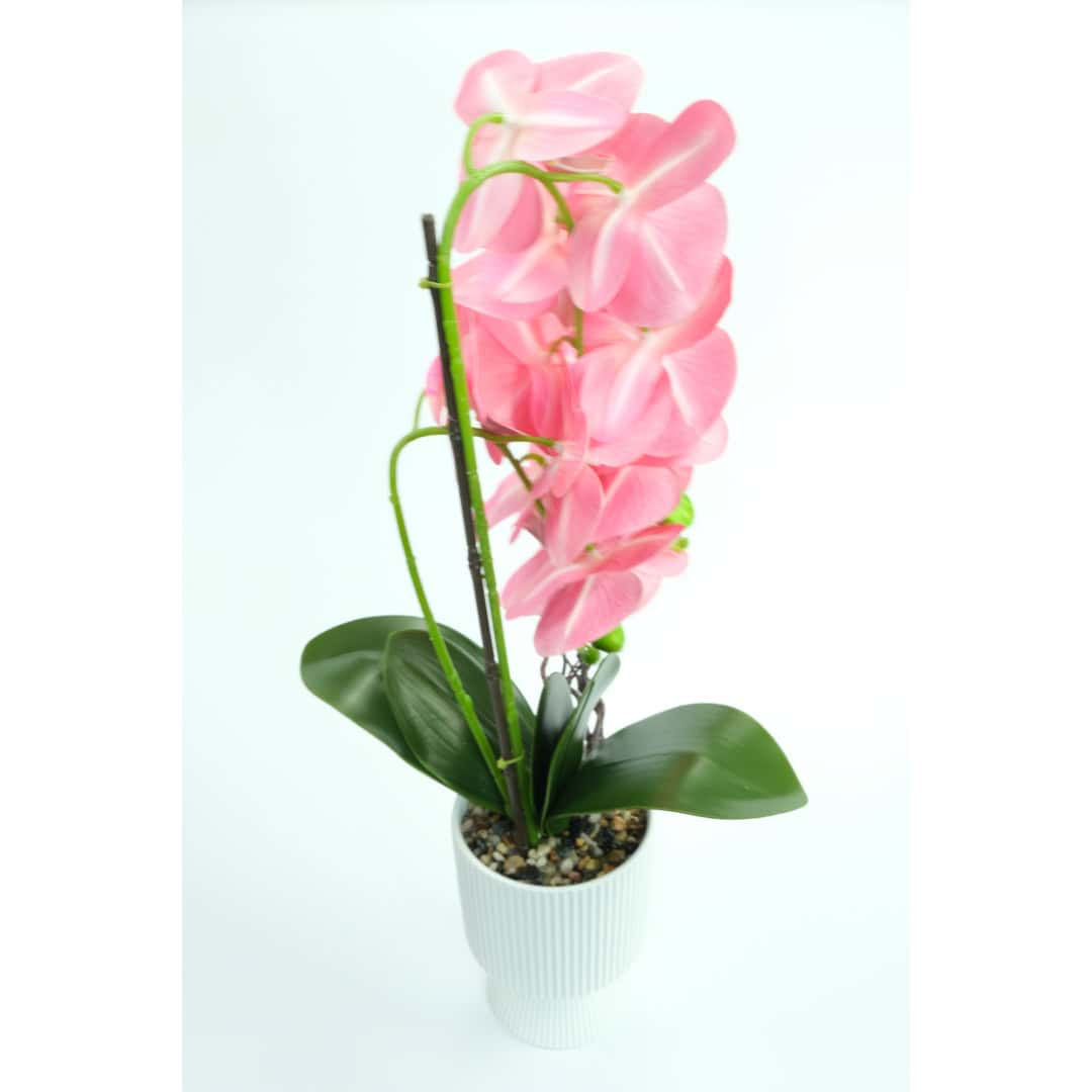 Orhidee Artificiale În Ghiveci – A80807 (4) Orhidee Artificiale În Ghiveci – A80807 (4)