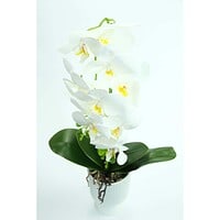 Orhidee Artificiale În Ghiveci – A80807 (7) Orhidee Artificiale În Ghiveci – A80807 (7)