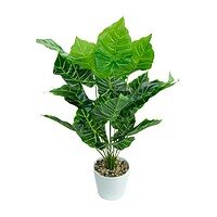 Philodendroni Artificiali În Ghiveci – A80462 (3) Philodendroni Artificiali În Ghiveci – A80462 (3)