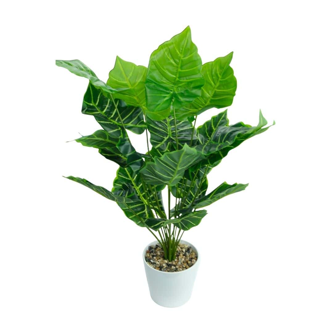 Philodendroni Artificiali În Ghiveci – A80462 (3) Philodendroni Artificiali În Ghiveci – A80462 (3)