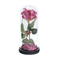 Trandafir Artificial In Cupola Cu Lumina Ambientala A11554 (1) Trandafir Artificial In Cupola Cu Lumina Ambientala A11554 (1)